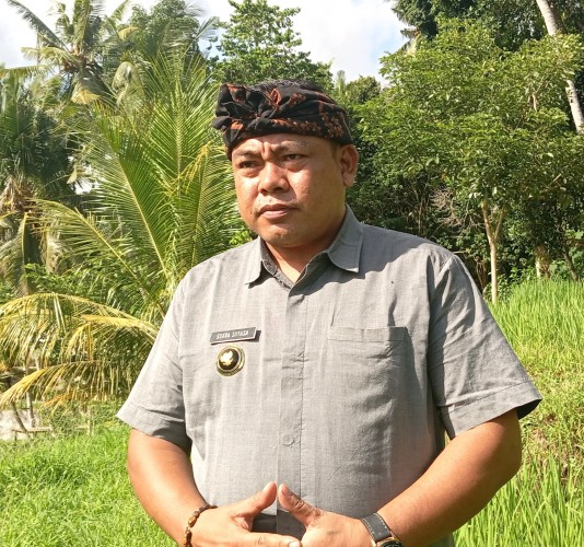 Desa Sidan Menjadi Pencontohan Pertanian Organik, Berkat Kolaborasi dengan Dinas Pertanian Kabupaten dan Provinsi Bali